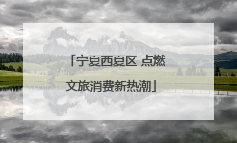 宁夏西夏区 点燃文旅消费新热潮