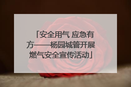 安全用气 应急有方——杨园城管开展燃气安全宣传活动