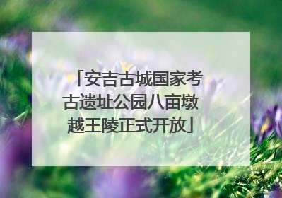 安吉古城国家考古遗址公园八亩墩越王陵正式开放