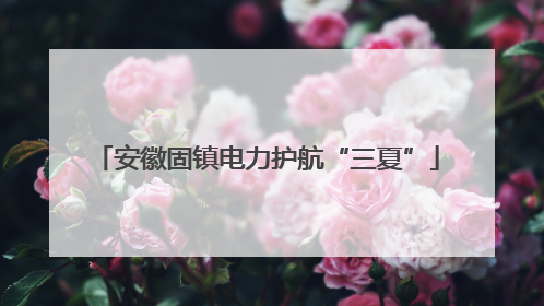 安徽固镇电力护航“三夏”