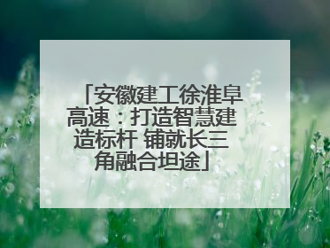 安徽建工徐淮阜高速：打造智慧建造标杆 铺就长三角融合坦途