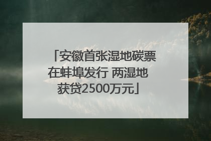 安徽首张湿地碳票在蚌埠发行 两湿地获贷2500万元