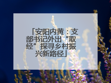 安阳内黄：支部书记外出“取经”探寻乡村振兴新路径