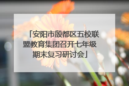 安阳市殷都区五校联盟教育集团召开七年级期末复习研讨会
