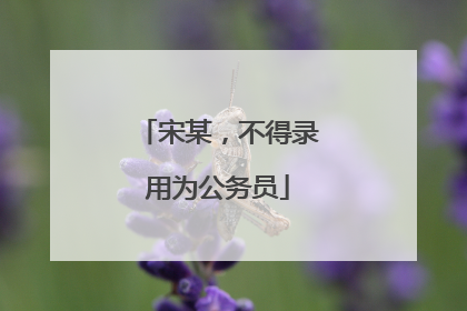 宋某，不得录用为公务员