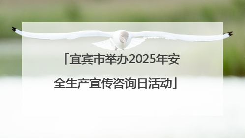 宜宾市举办2025年安全生产宣传咨询日活动