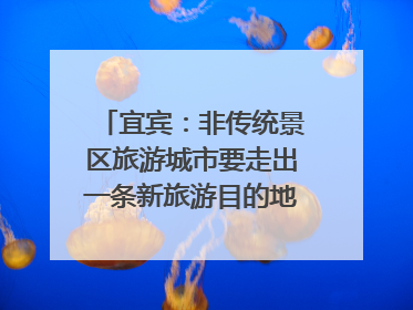 宜宾：非传统景区旅游城市要走出一条新旅游目的地新路子｜话锦绣·说安逸