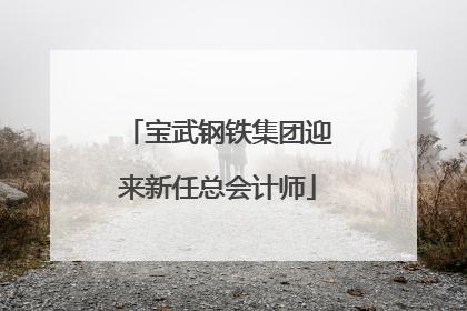 宝武钢铁集团迎来新任总会计师