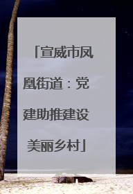 宣威市凤凰街道：党建助推建设美丽乡村