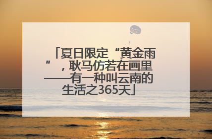 夏日限定“黄金雨”，耿马仿若在画里——有一种叫云南的生活之365天