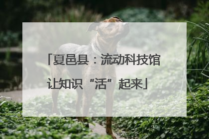 夏邑县：流动科技馆让知识“活”起来