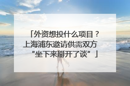 外资想投什么项目？上海浦东邀请供需双方“坐下来掰开了谈”