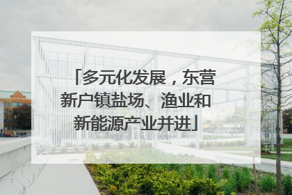 多元化发展，东营新户镇盐场、渔业和新能源产业并进