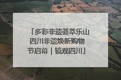 多彩非遗荟萃乐山 四川非遗焕新购物节启幕｜镜观四川