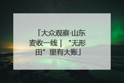 大众观察·山东麦收一线｜“无形田”里有大账
