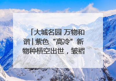 大城名园 万物和谐│紫色“高冷”新物种横空出世，皱褶叶片暗藏进化密码