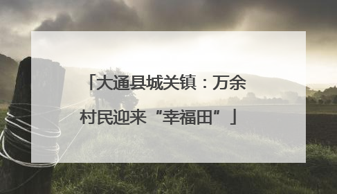 大通县城关镇：万余村民迎来“幸福田”