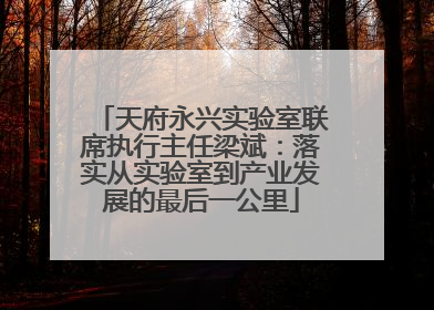 天府永兴实验室联席执行主任梁斌:落实从实验室到产业发展的最后一公里