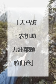 天马镇：农机助力油菜颗粒归仓