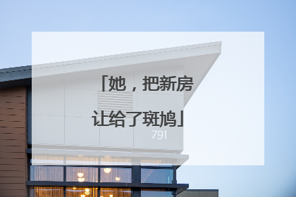 她，把新房让给了斑鸠