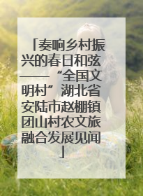 奏响乡村振兴的春日和弦——“全国文明村”湖北省安陆市赵棚镇团山村农文旅融合发展见闻