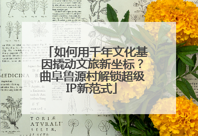 如何用千年文化基因撬动文旅新坐标？曲阜鲁源村解锁超级IP新范式
