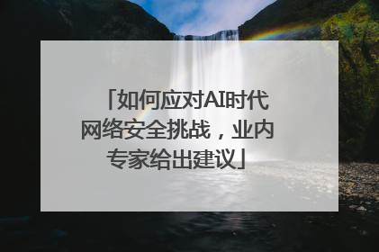 如何应对AI时代网络安全挑战，业内专家给出建议