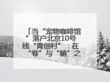 当“宠物咖啡馆”落户北京10号线“青创村”：在“卷”与“躺”之间，他们找到了第三种生活公式
