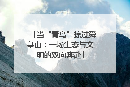 当“青鸟”掠过舜皇山：一场生态与文明的双向奔赴