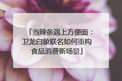 当辣条遇上方便面：卫龙白象联名如何重构食品消费新场景