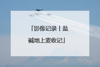 影像记录丨盐碱地上麦收记