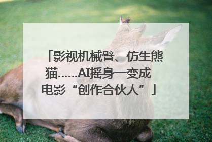 影视机械臂、仿生熊猫……AI摇身一变成电影“创作合伙人”