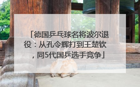 德国乒乓球名将波尔退役：从孔令辉打到王楚钦，同5代国乒选手竞争