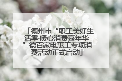 德州市“职工美好生活季·暖心消费嘉年华”德百家电惠工专项消费活动正式启动