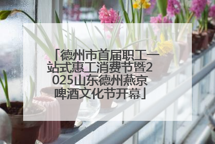 德州市首届职工一站式惠工消费节暨2025山东德州燕京啤酒文化节开幕