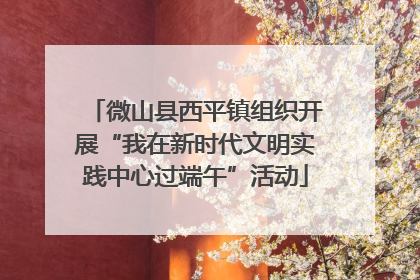 微山县西平镇组织开展“我在新时代文明实践中心过端午”活动