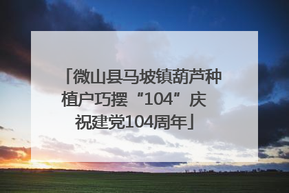 微山县马坡镇葫芦种植户巧摆“104”庆祝建党104周年