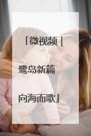 微视频｜鹭岛新篇 向海而歌