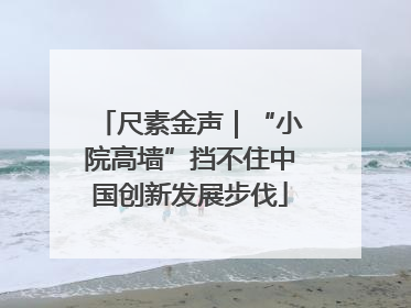 尺素金声｜“小院高墙”挡不住中国创新发展步伐