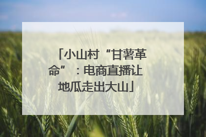 小山村“甘薯革命”：电商直播让地瓜走出大山