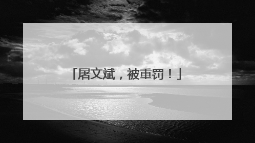 屠文斌，被重罚！