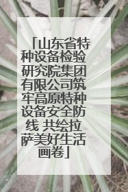 山东省特种设备检验研究院集团有限公司筑牢高原特种设备安全防线 共绘拉萨美好生活画卷