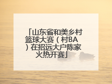 山东省和美乡村篮球大赛（村BA）在招远大户陈家火热开赛