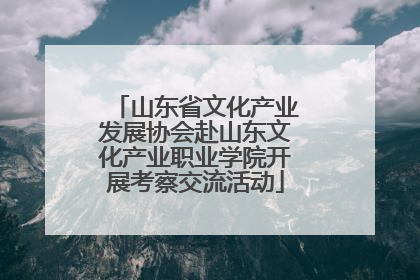 山东省文化产业发展协会赴山东文化产业职业学院开展考察交流活动
