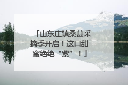 山东庄镇桑葚采摘季开启！这口甜蜜绝绝“紫”！