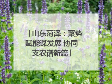 山东菏泽：聚势赋能谋发展 协同支农谱新篇
