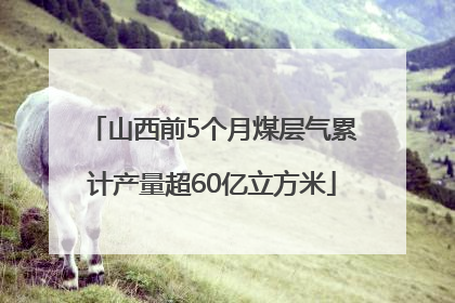 山西前5个月煤层气累计产量超60亿立方米