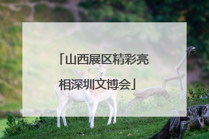 山西展区精彩亮相深圳文博会
