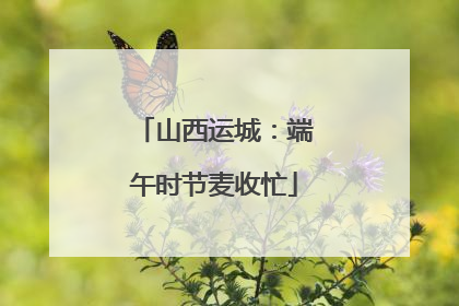 山西运城：端午时节麦收忙