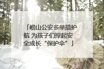 崂山公安多举措护航 为孩子们撑起安全成长“保护伞”